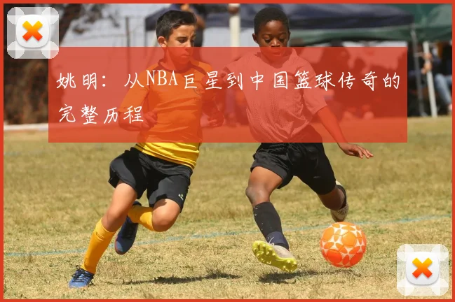 姚明：从NBA巨星到中国篮球传奇的完整历程